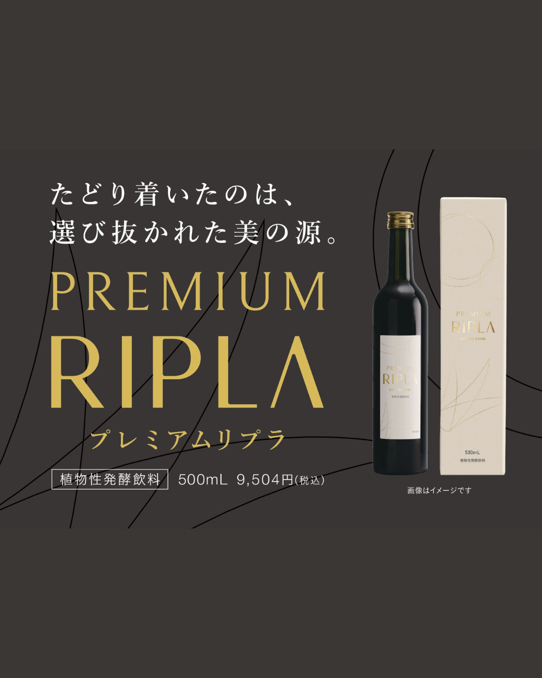 PREMIUM RIPLA（プレミアムリプラ）